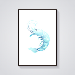 Blue Shrimp Watercolor Poster