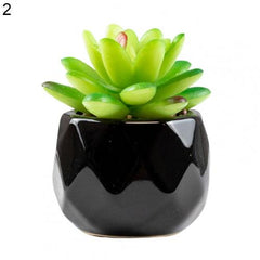 Artififical succulent in black pot, 11 different designs