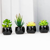 Artififical succulent in black pot, 11 different designs