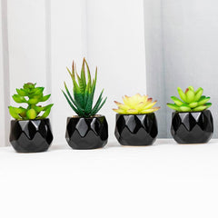 Artififical succulent in black pot, 11 different designs
