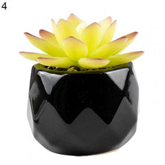 Artififical succulent in black pot, 11 different designs