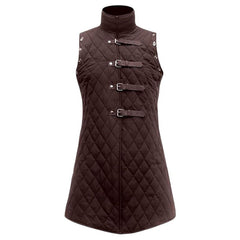 Elegant brown steampunk vest