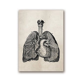 Steampunk heart and lungs drawing