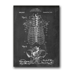 Steampunk ribs anatomy drawing