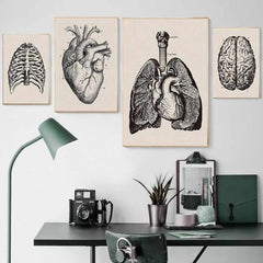 Steampunk heart and lungs drawing