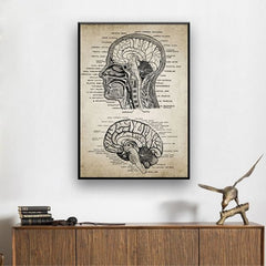 Steampunk brain anatomy drawing