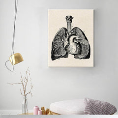 Steampunk heart and lungs drawing