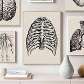 Steampunk ribs bones drawing