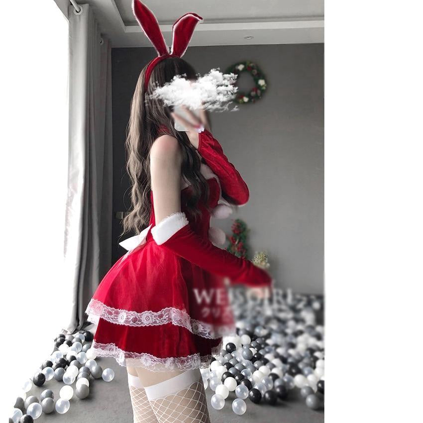 Luxury Santa Bunny Dress Set